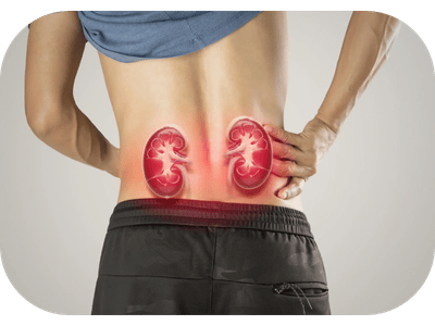 Kidney Treatment
